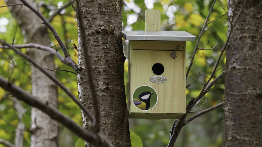 Nichoir Pest Control